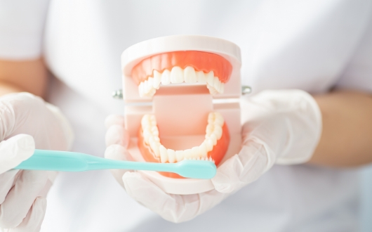 お口の健康を守る“予防歯科”