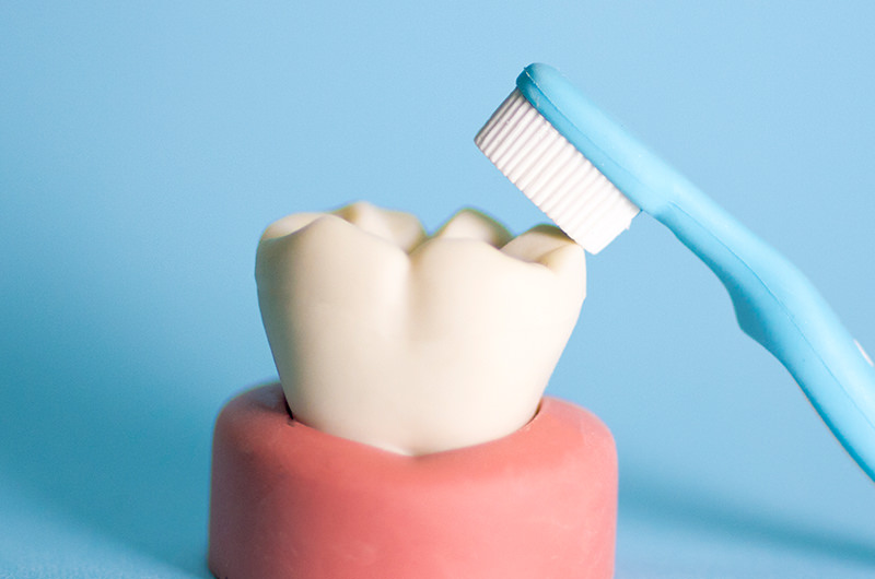 「お口の健康」を守るのに大切なこと「ホームケア」と「プロフェッショナルケア」